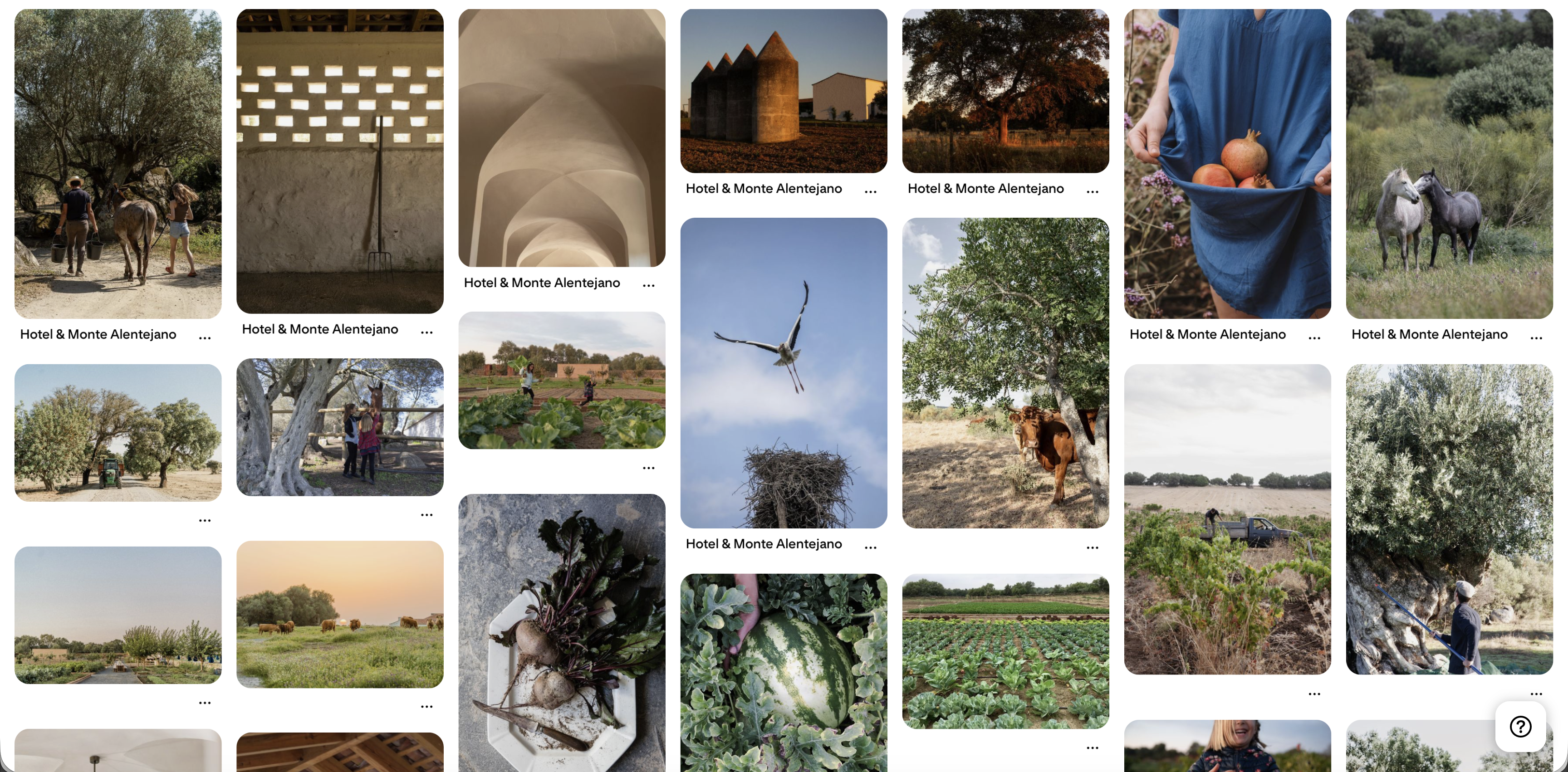 Barrocal Pinterest