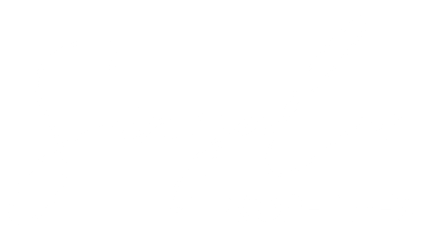Singular Properties
